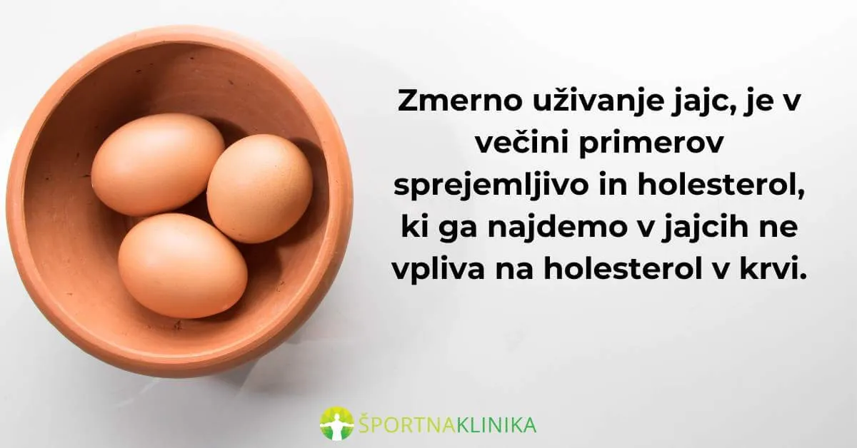 Infografika - Jajca in vpliv na hoelsterol Infografika - Jajca in vpliv na hoelsterol