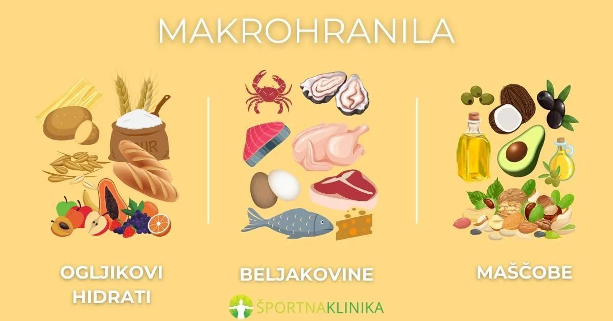 Infografika - Seznam makrohranil Infografika - Seznam makrohranil