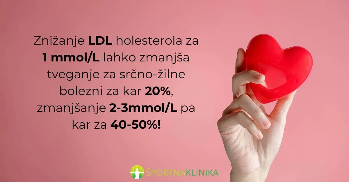 Infografika - Znižanje holesterola zmanjša tveganje za srčnožilne bolezni Infografika - Znižanje holesterola zmanjša tveganje za srčnožilne bolezni