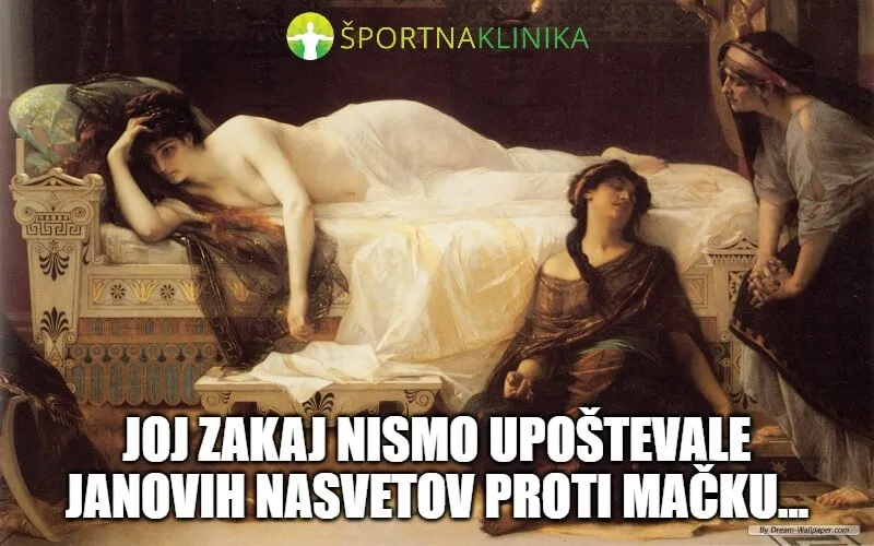 Meme - nasveti za mačka Meme - nasveti za mačka