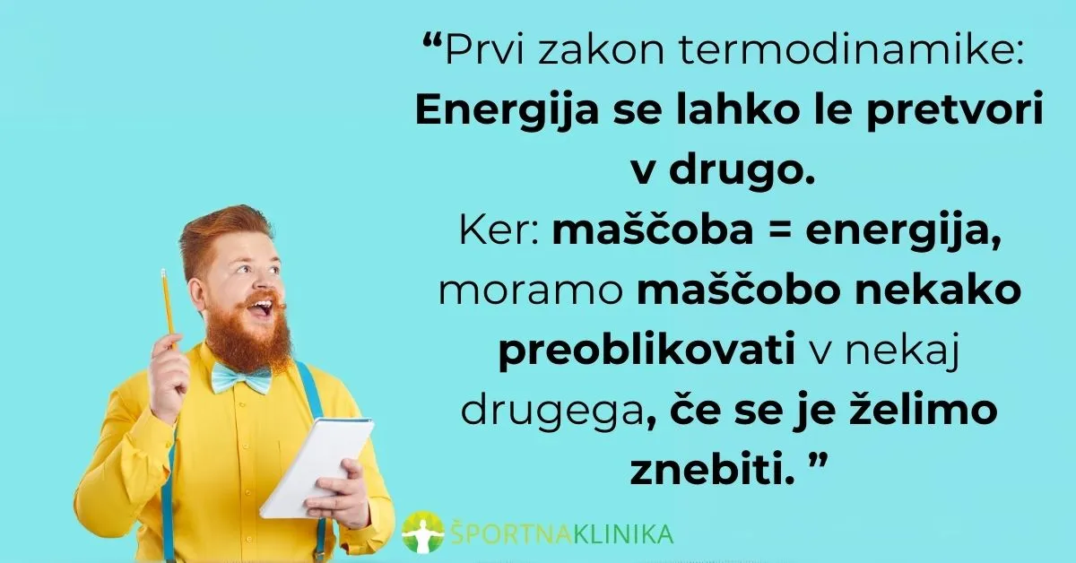 Infografika - Prvi zakon termodinamike in maščoba Infografika - Prvi zakon termodinamike in maščoba